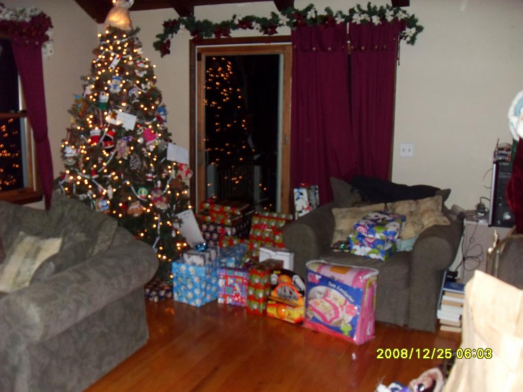 Christmas 2008 014.JPG